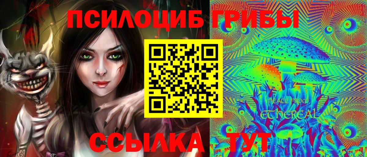 Жуковский  Галлюциногенные грибы Psilocybine cubensis  Вход с VPN 
